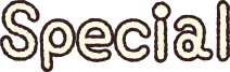 スペシャル